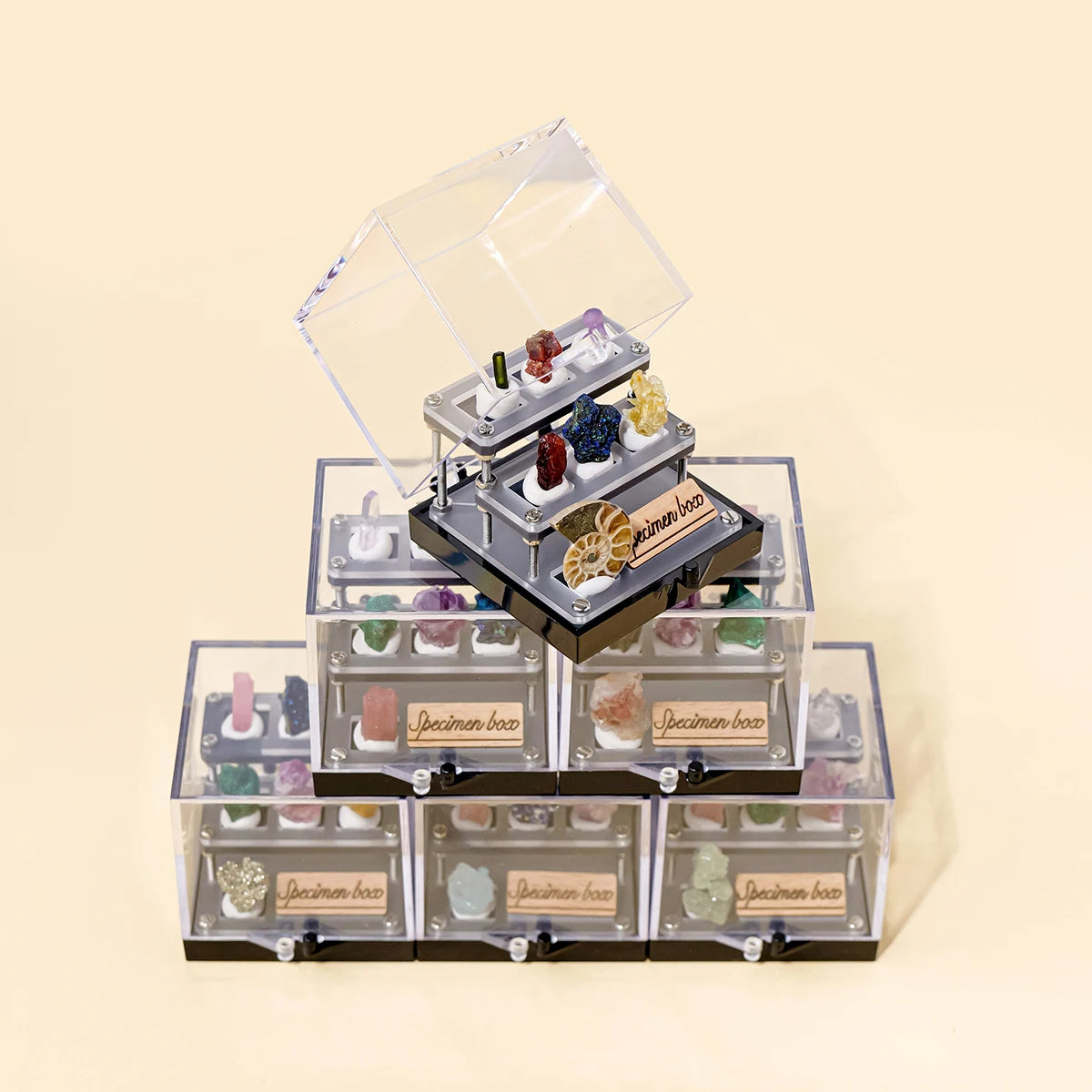 Educational geology rock kit with rough stones