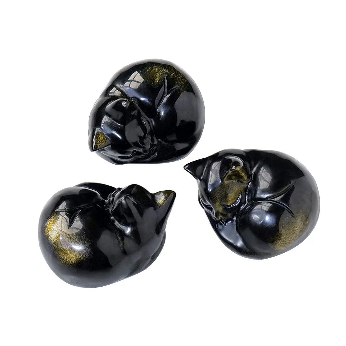 Sleeping ragdoll cat design